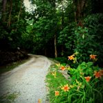 Lower end of Carriage Trail, Charleston, WV