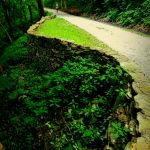 Rock walls along Carriage Trail, Charleston, West Virginia