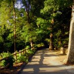 Oaks line the upper Carriage Trail, Charleston, West Virginia