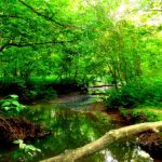 Scary Creek, Putnam County, Metro Valley Region