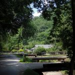 Homes at Coal Fork, West Virginia, Kanawha County, Metro Valley Region