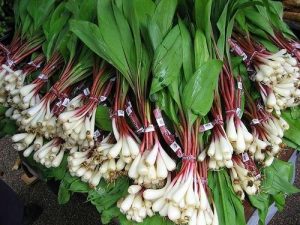 Ramps ready for market