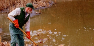 Trout being stocked in WV State Parks