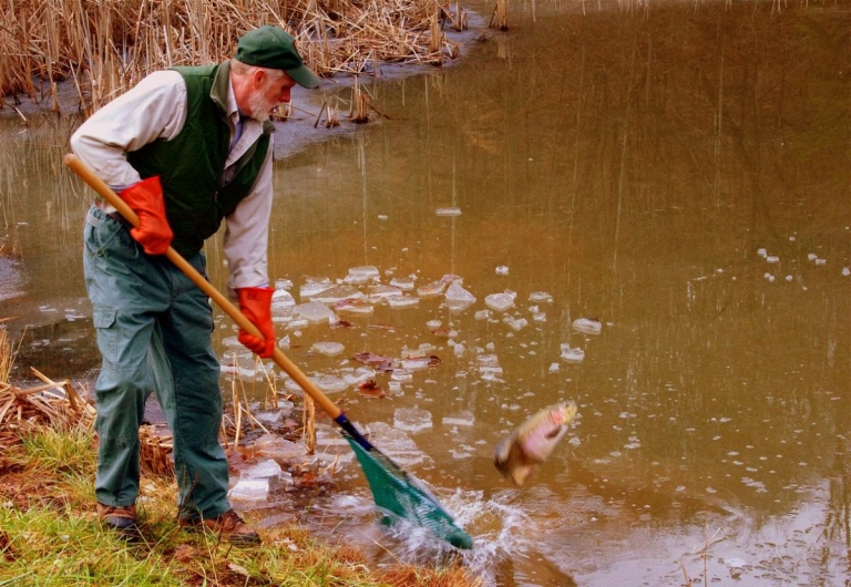 Trout being stocked in five park lakes in advance of Earth Day 2017