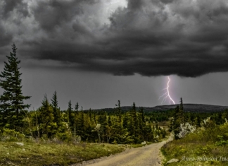 Lightning on Dolly Sods. Photo courtesy Anne Johnson