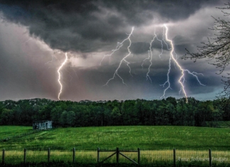 Lightning strikes beyond a pasture in central West Virginia. Photo courtesy Anne Johnson.