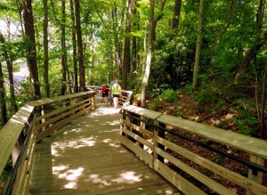 A boardwalk leads visitors from the Canyon Rim Visitor Center to a view of the New River Gorge Bridge.