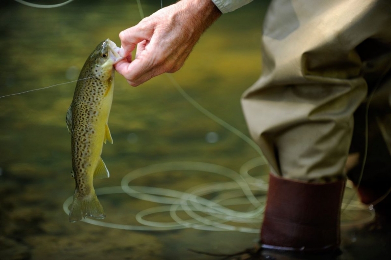 W.Va. officials gear up for free fishing weekend June 10-11