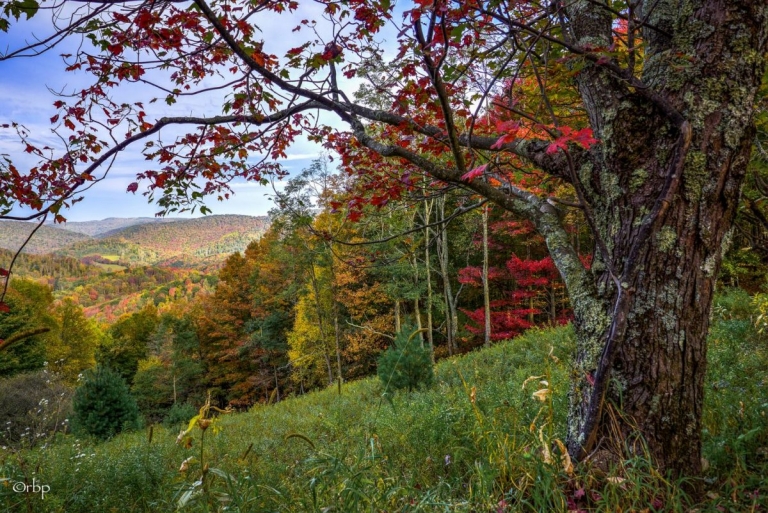 Autumn leaf change in West Virginia well underway