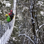 Canopy Tours in Winter