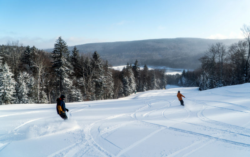 Snowshoe Skiers