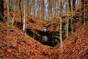 Falls At Woodrum Lake in West Virginia