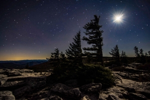 The moon burns brilliantly in the cold darkness above Dolly Sods