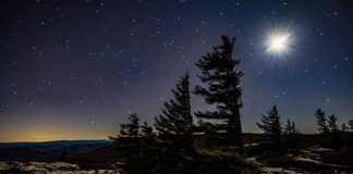 The moon burns brilliantly in the cold darkness above Dolly Sods
