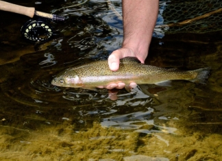 Friday and Saturday trout stockings will begin March 2 in waters within and near selected West Virginia state parks.