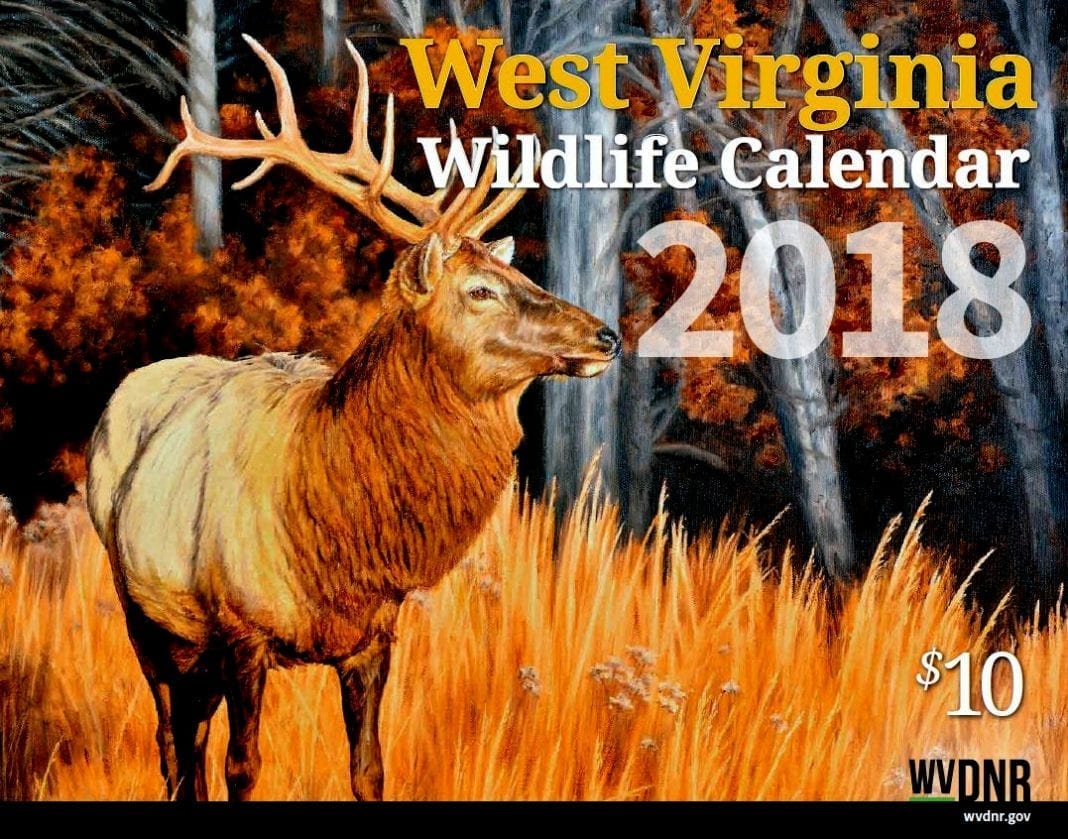 W.Va. DNR seeks wildlife paintings for 2019 calendar West Virginia