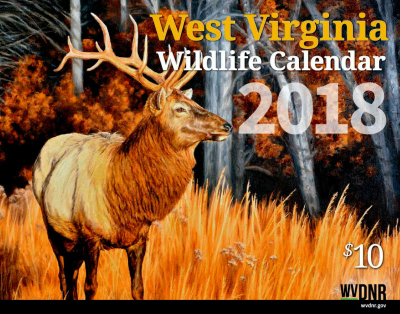 W Va DNR Seeks Wildlife Paintings For 2019 Calendar West Virginia 