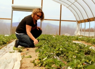 Innovation is allowing W.Va. farmers to grow year round.