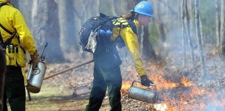 National Park Service staff manage a prescribed burn at the New River Gorge.