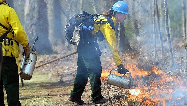 National Park Service staff manage a prescribed burn at the New River Gorge.