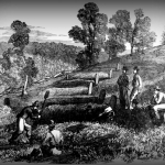 Burials after Battle of Rich Mountain