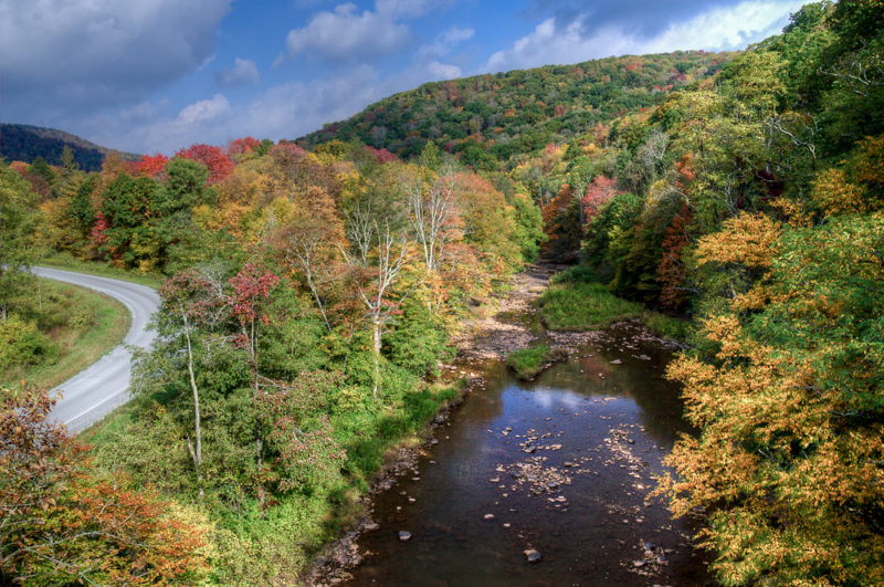 The Williams River edges along the Highland Scenic Highway in Pocahontas County.