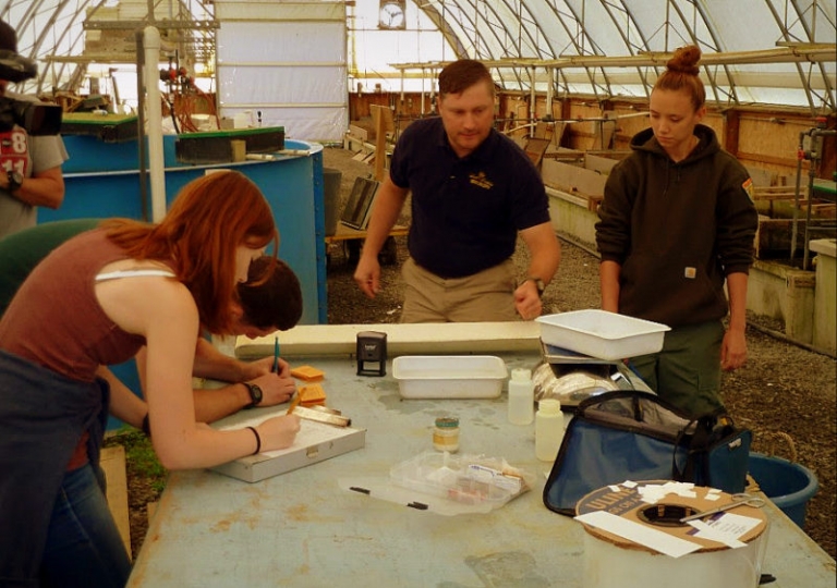 Biologists find success restoring trout in eastern panhandle