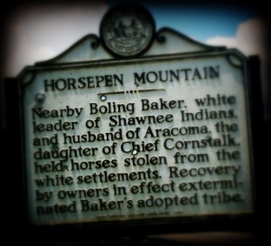 Marker on Horsepen Mountain raised to commemorate penning of horses by Boling Baker.