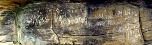 A detailed view of the petroglyphs at Lynco outlined in chalk.