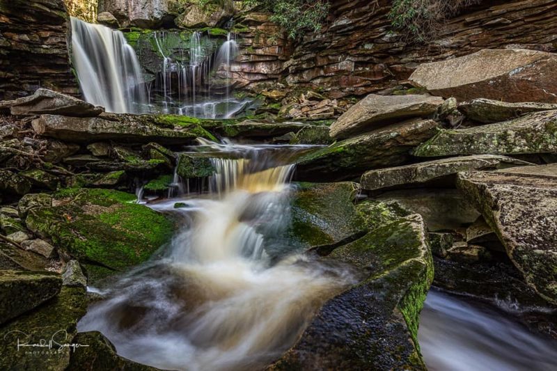 Shays Run drops over Elakala Falls and into a mossy ravine, captured by Randall Sanger.