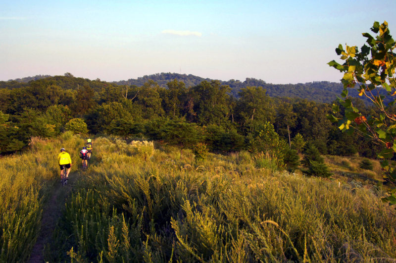 Mountain bikers explore an upland trail in Mountwood Park in Wood County.