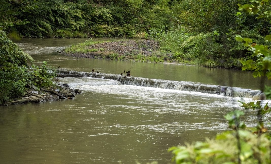 Guyandotte River West Virginia Explorer