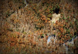 Trout Pond during dry weather appears as a sandy glade in the upper right of this Google Maps image.