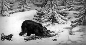 "The bear suddenly came down on the hunter's chest and as he did so, Bill caught him by the scruff of the neck and hacked with his knife until he was able to pierce the animal's brain."