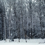 Winter in central West Virginia