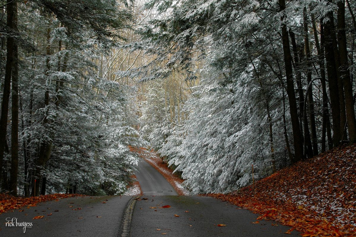 Turkey Spur Road at Grandview. Photo by Rick Burgess.