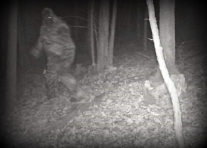 Bigfoot allegedly caught on hunter's cam in Fayette County, West Virginia. Source undetermined.