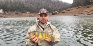 Clinton Mills of Ravenswood, West Virginia, with his state record yellow perch.