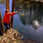 Derrick Nutter stocks trout in Buffalo Creek