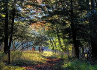 Hikers wander among hemlock at Canaan Valley Resort State Park in Tucker County, West Virginia.