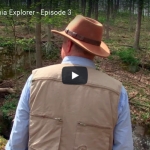David Sibray explores a natural bridge in Roane County.