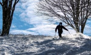 A skier maneuvers through powder at Canaan Valley Ski Resort. Photo courtesy Canaan Valley Resort State Park.