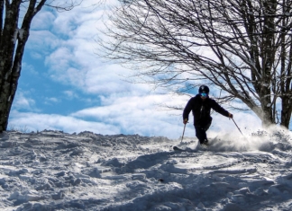 A skier maneuvers through powder at Canaan Valley Ski Resort. Photo courtesy Canaan Valley Resort State Park.