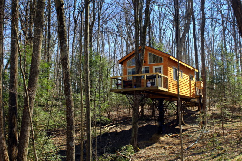 A suspended bridge leads to the Holly Rock Treehouse.