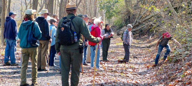 Rangers lead a wildflower hike in the New River Gorge National Park and Preserve.