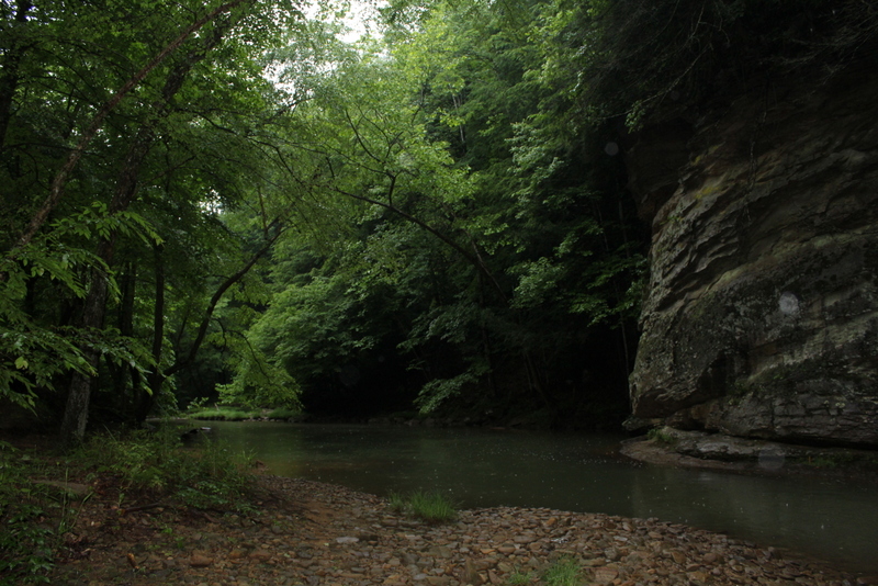 Strange Creek wanders through the forests of central West Virginia to meet the Elk River.