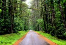 Might a headless ghost still haunt the forests around Bakers Run Campground?