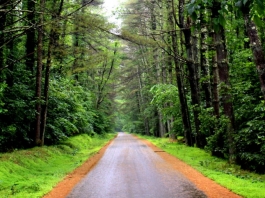 Might a headless ghost still haunt the forests around Bakers Run Campground?