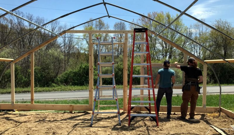 Susanna Wheeler and Brad Woolf raise a high tunnel to be used for the market garden.