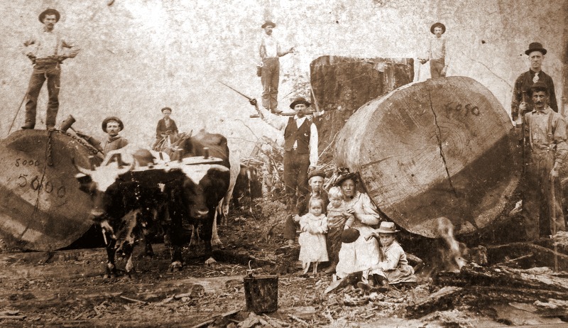 A family of loggers poses with their beasts of burden alongside logs timbered in the mountains of southern West Virginia.